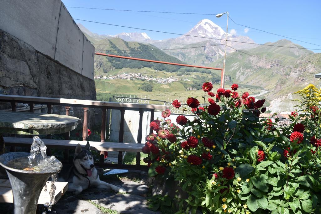 Qusha Guesthouse Meeting In The Mountains And Views Stepancminda Exteriér fotografie