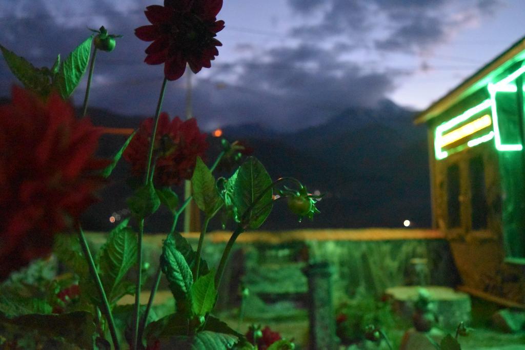 Qusha Guesthouse Meeting In The Mountains And Views Stepancminda Exteriér fotografie