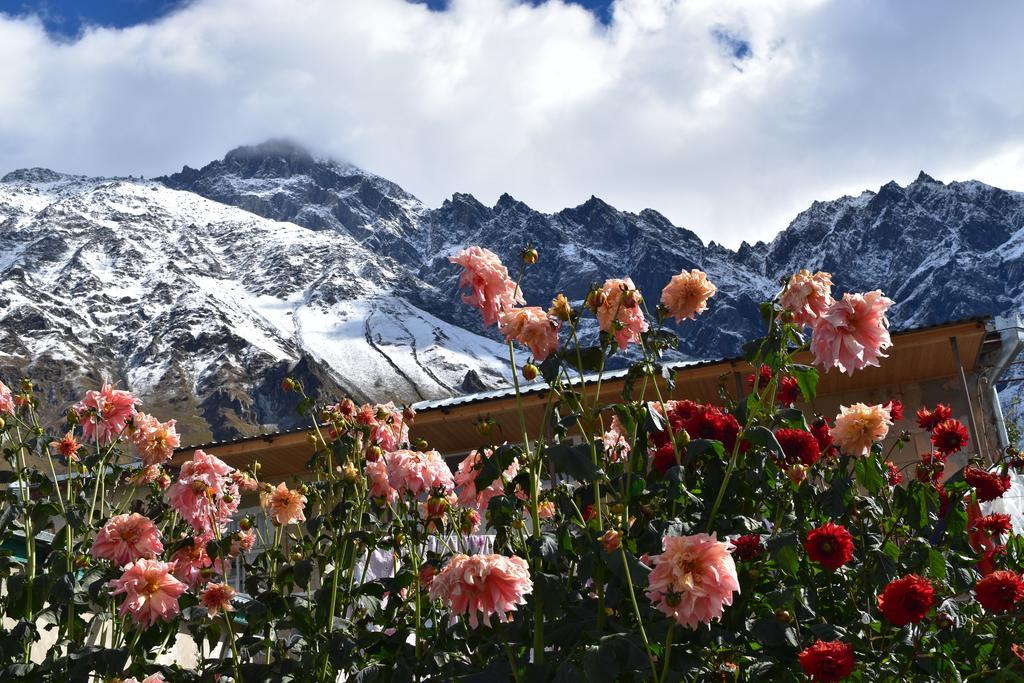 Qusha Guesthouse Meeting In The Mountains And Views Stepancminda Exteriér fotografie